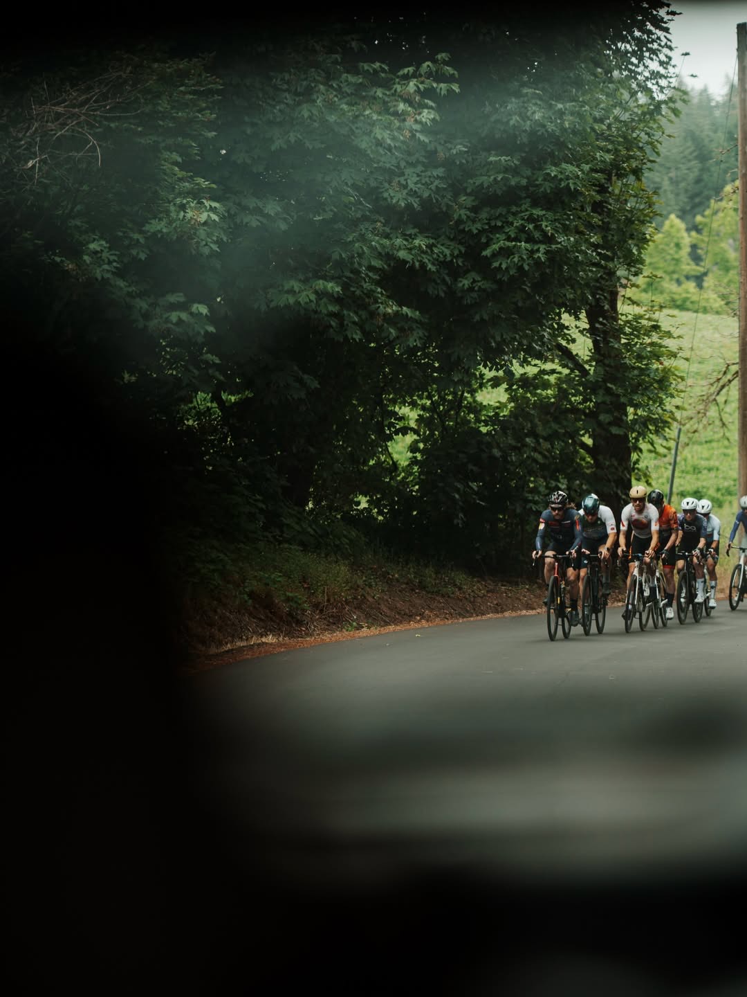 Through the trees