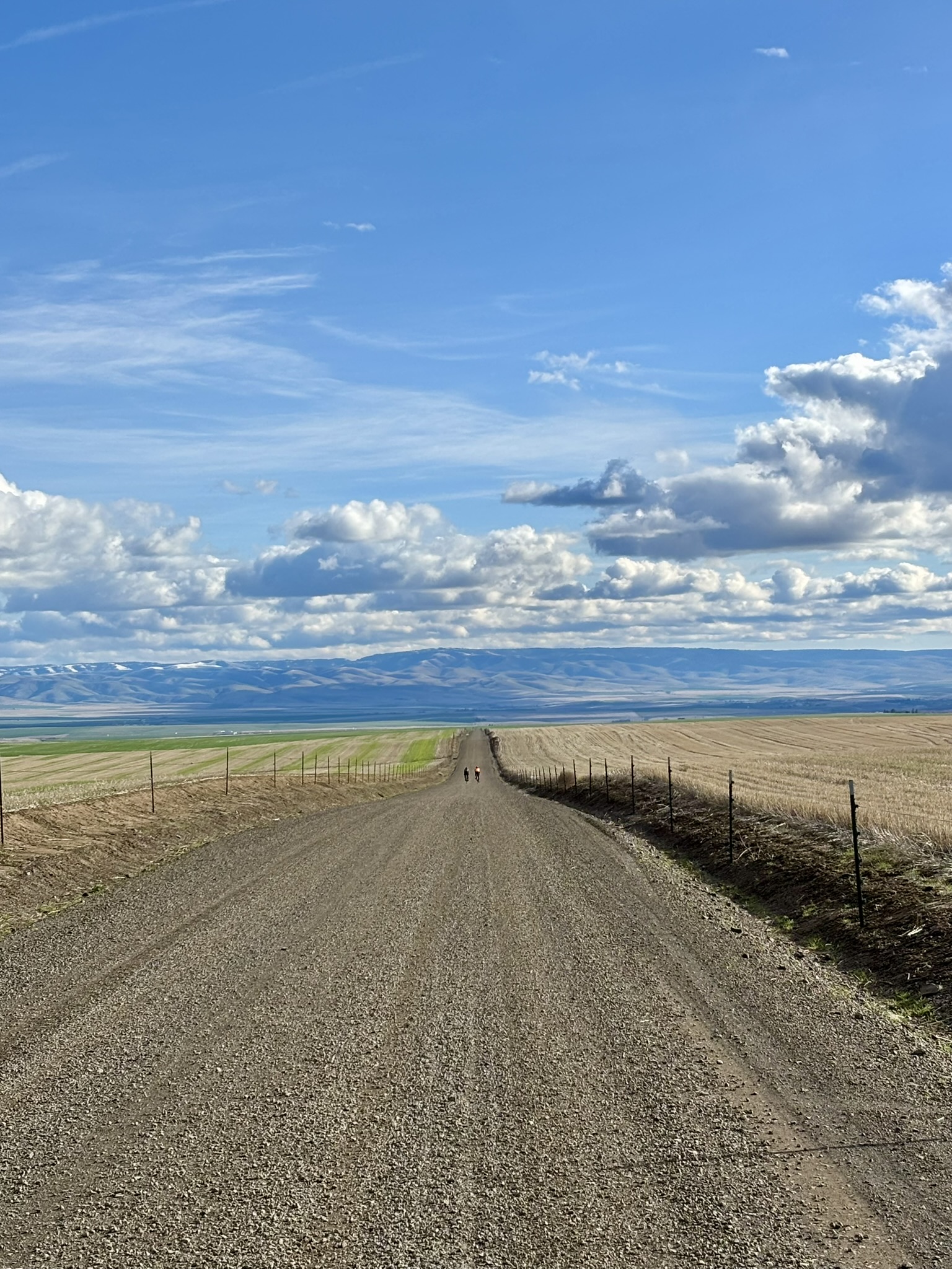 Gravel road north of Pendleton