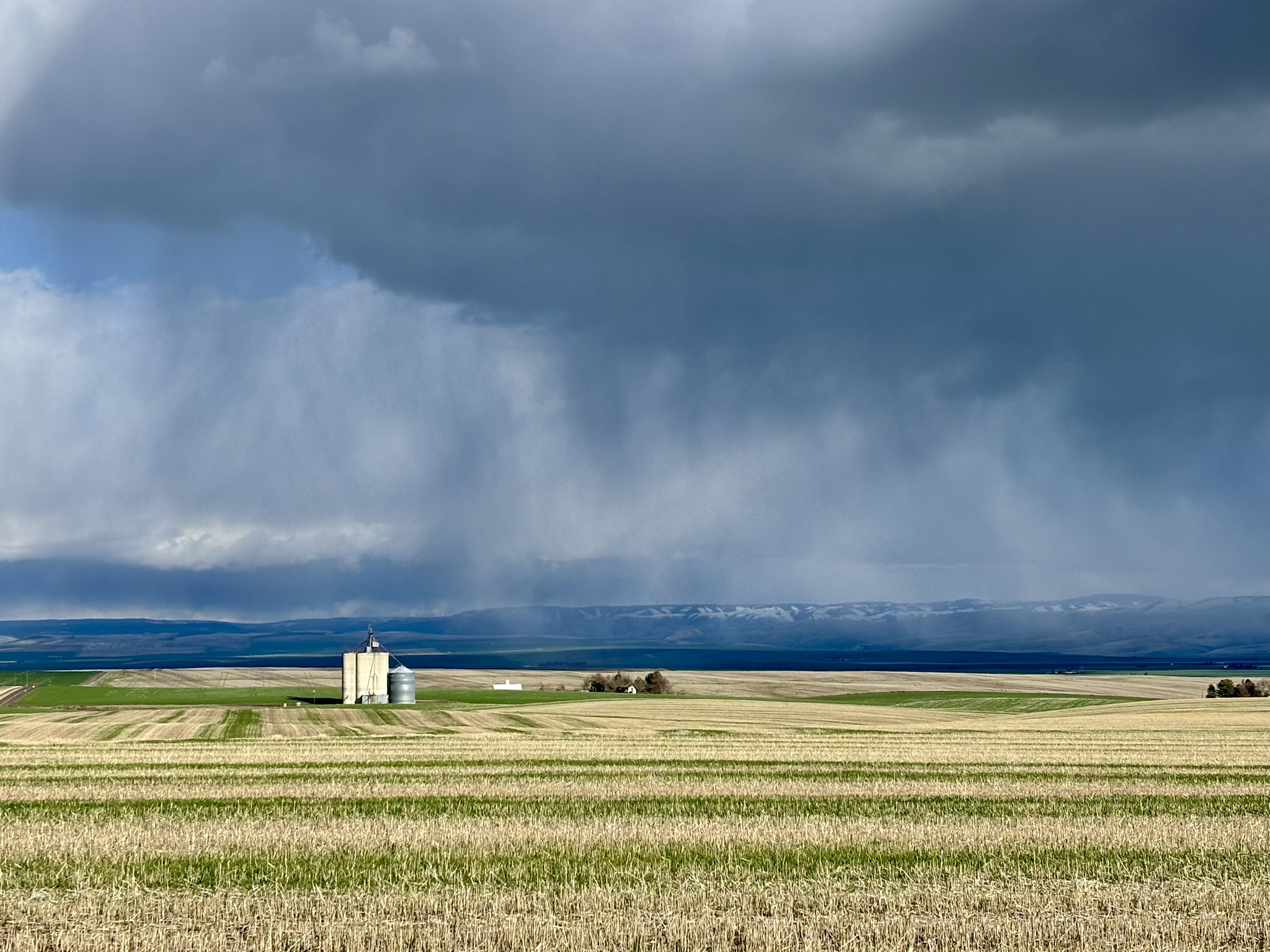 Storm rolling in over the wheat fields